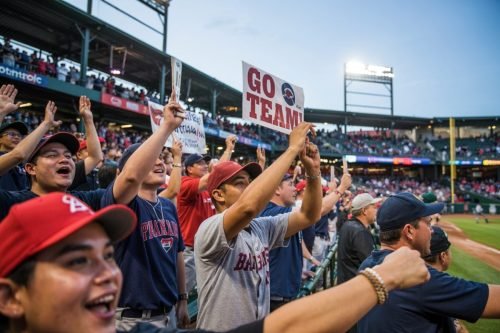 Baseball fans cheering at a game, holding signs that say Go Team!