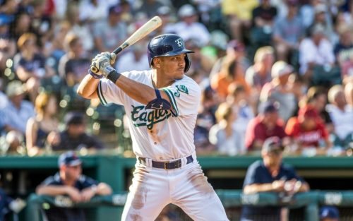 Baseball player in uniform at bat, with a crowd in the background