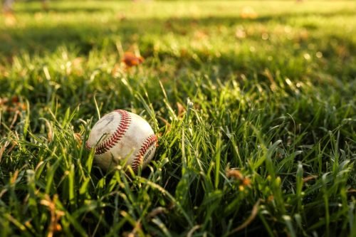Baseball resting in green grass, illuminated by sunlight