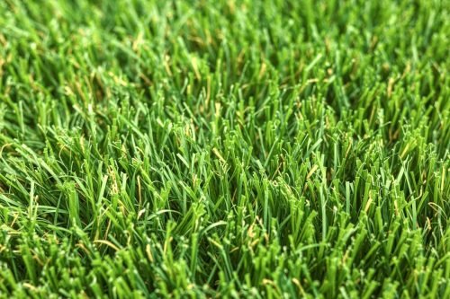 Close-up of vibrant green artificial grass, showing blades and texture
